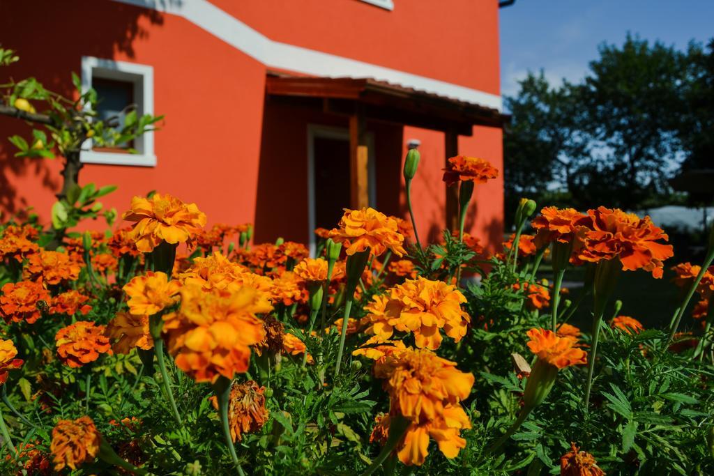 Agriturismo Ca' La Pergola Lugagnano Exterior foto