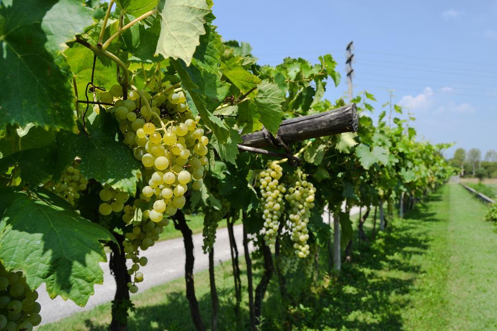 Agriturismo Ca' La Pergola Lugagnano Exterior foto